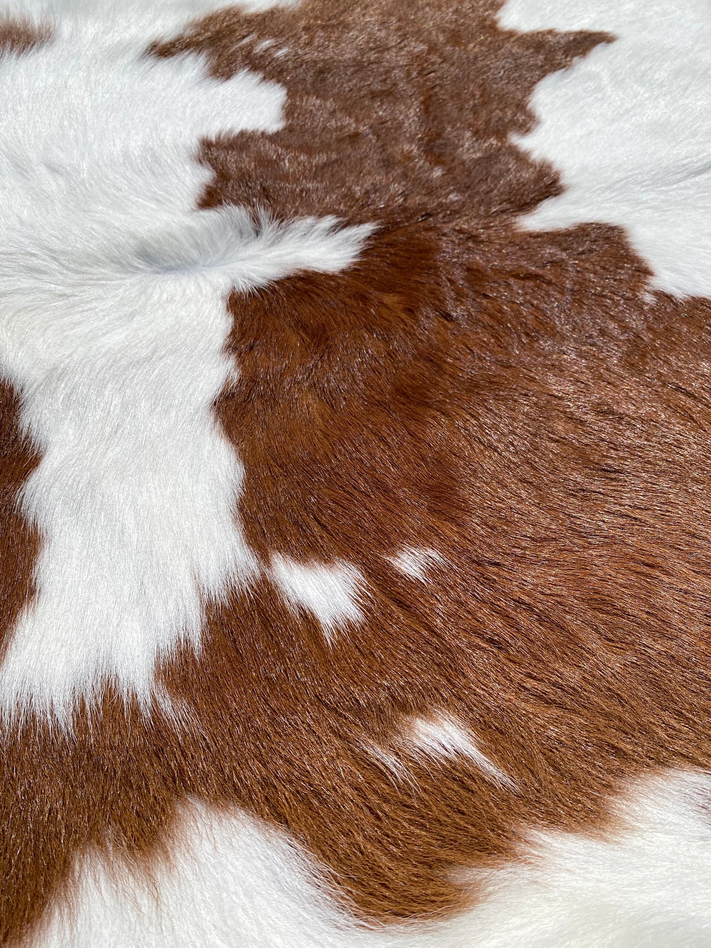 Brown and White hair on cowhide 